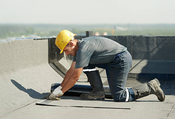 Best Garage Insulation Installation  in Wapakoneta, OH